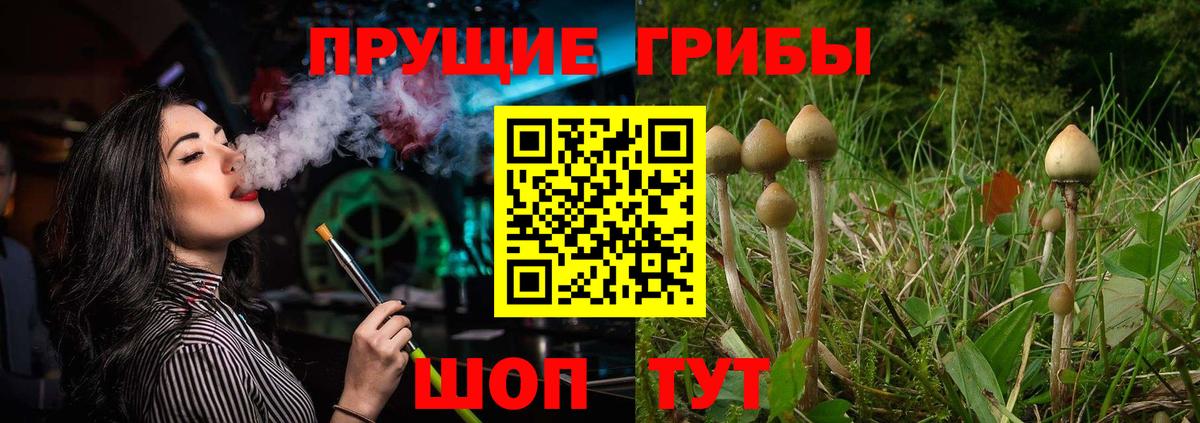 Галлюциногенные грибы Psilocybe  Вход с VPN  Лысьва 