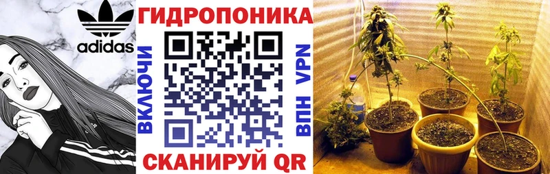 Бошки марихуана сатива  kraken ССЫЛКА  Лысьва 